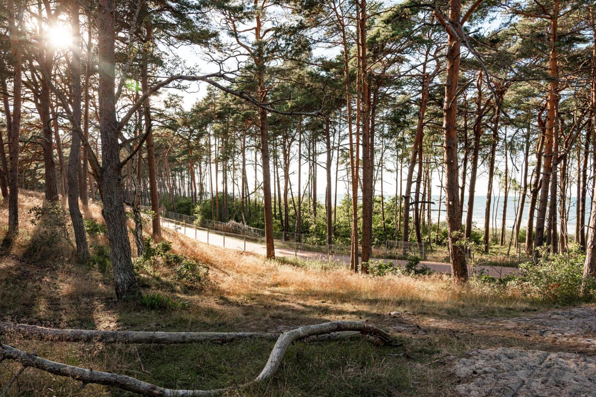 Neptuno Resort & Spa Дзьвіжино Екстер'єр фото